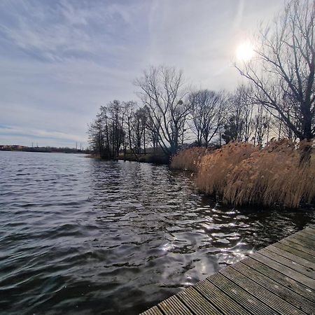 Chambres D'Hotes "The Lake House" - 20 Min To Paris By Metro Creteil Exterior photo